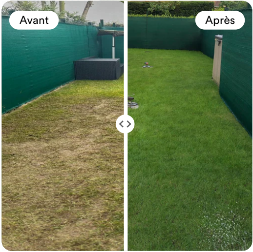 Graines de gazon Fertiligène anti jaunissement