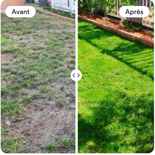 Graines de gazon Fertiligène Pour toutes saisons